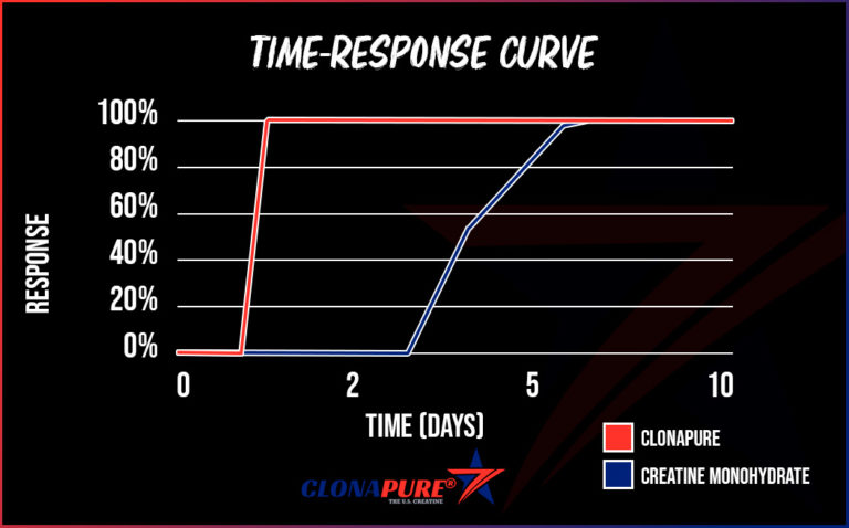 Creatine efficience graphic