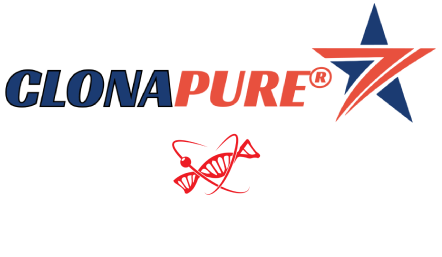 tsunami5.png